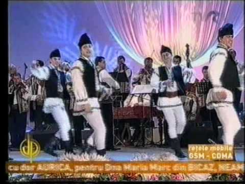 Junii Sibiului ficioresc 2006