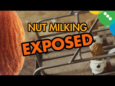 Nut Milking exposed