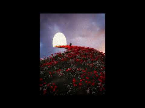 (FREE) La Fève x Baby Neelou Type Beat - aristocrate