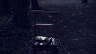 Fionn Regan - The Gouldings [Official Video]