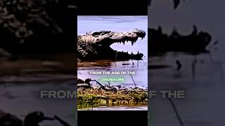 Download lagu Gustave: the man eating croc #edit mp3