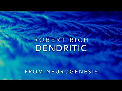 Robert Rich: Dendritic