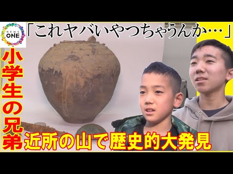 ドライバーアリの最古の化石が発見される