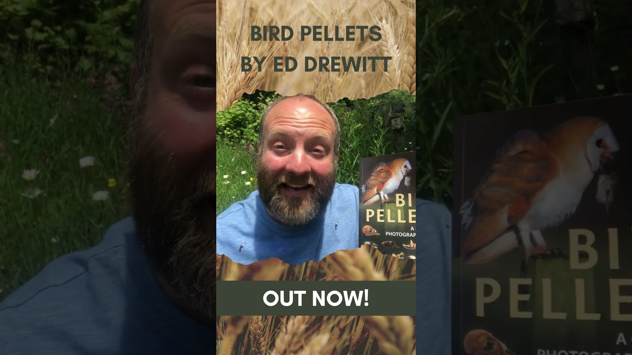 Bird Pellets - Meet the author