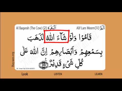 Learn Quran in English translation word by word learning, Al Baqarah,  Cow,  002, Verse 020,