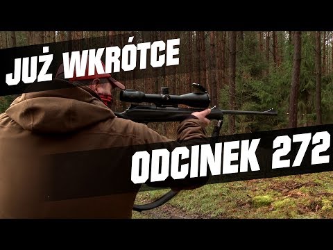 Darz Bór zapowiedź odcinka 272