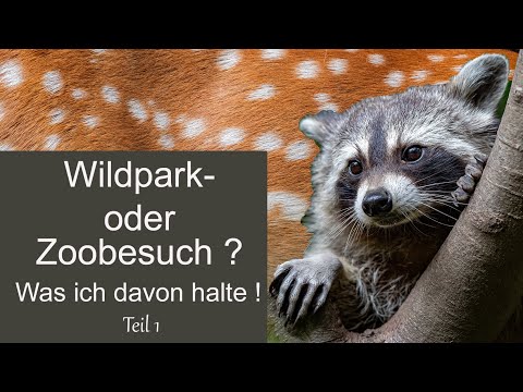 Abenteuer Naturfotografie / Wildpark- oder Zoobesuch Teil1