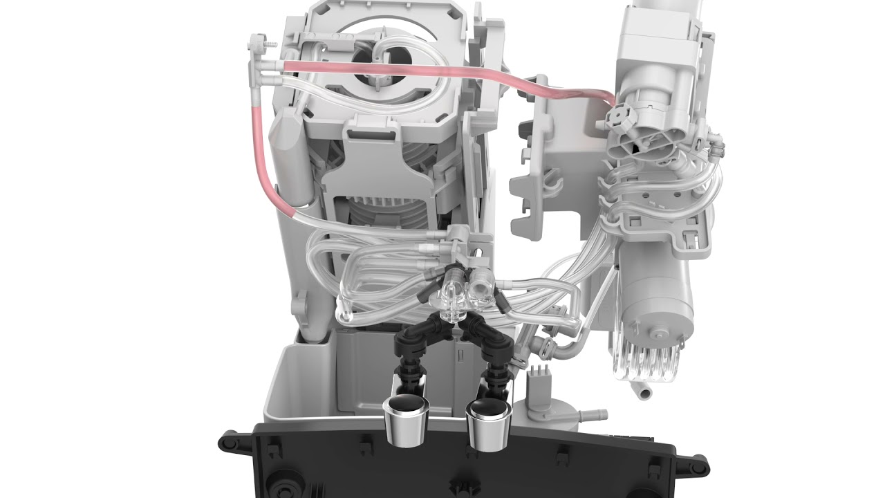 De verschillende bereidingsprocessen