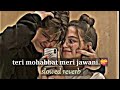 Teri Mohabbat Meri Jawani Slowed Reverb Lofi Mix Youtube Song Mp3 Oldisgold