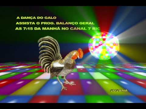 DANÇA DO GALO