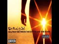 Fatboy Slim - Mad Flava