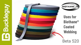 Overview & Demo of Biothane Coated Webbing | Beta 520 Standard & Super Heavy