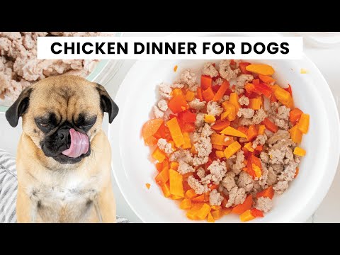 Chicken Dinner Recipe for Dogs – Easy &amp; Healthy Homemade Dog Food That’s Pug Approved &amp; Vet Inspired