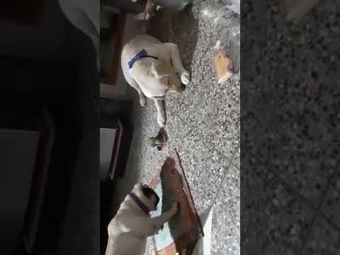 it's really awesome 😍