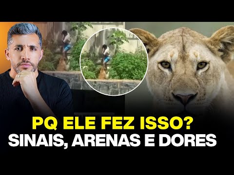 YOU MUST PAY ATTENTION TO THE SIGNS. ABOUT THE "LITTLE COWBOY" AND THE LIONESS AT THE ZOO.