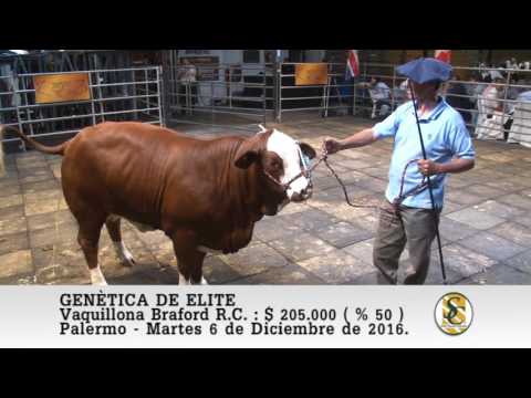 06-12-16 Ventas ( Parte 2 ) - Genètica de Elite - Palermo.