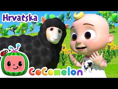 Baa baa crna ovca | CoComelon Hrvatska | Crtaći filmovi i dječje pjesme na hrvatskom