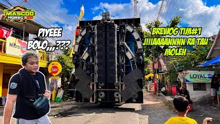 Download lagu GAK GOGOROK POTONG BAYARAN ‼️CEK SOUND BREWOG KARNAVAL NGUTER LUMAJANG #horegg #brewogaudio  mp3