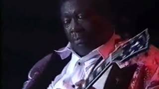 BB King - Sitting On Top Of The World - Live