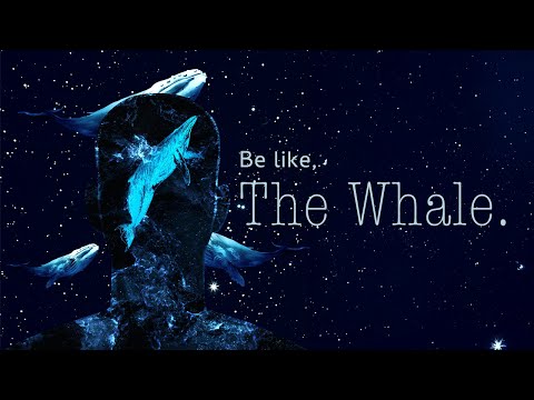 The Life of a Whale – A Journey of Strength, Resilience, and Purpose