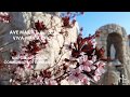 Viva Maria Choir Ave Maria نهديك سلاماً