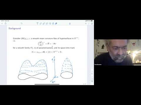 Felix Schulze - Mean curvature flow with generic initial data