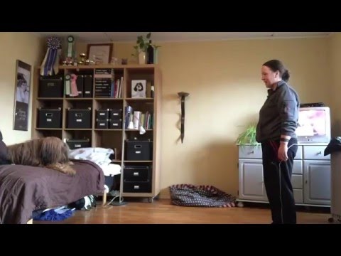 ingång med apport (i en etta)