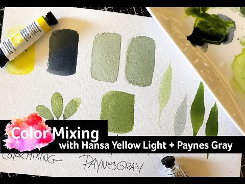 Watercolor Mixing with Qor + Daniel Smith Watercolors: Hansa Yellow Light + Paynes Gray