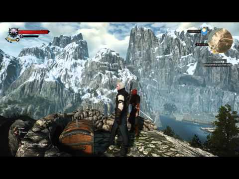 Witcher 3 Playthrough (Part 257)
