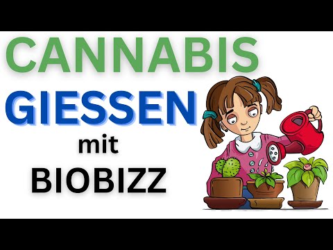 GIEßEN mit BIOBIZZ - CANNABIS PFLANZEN RICHTIG BEWÄSSERN - PH, TEMPERATUR, MENGE ETC.