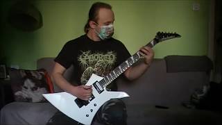 &quot;Meticulous Invagination&quot; Aborted cover Guitar Play Through