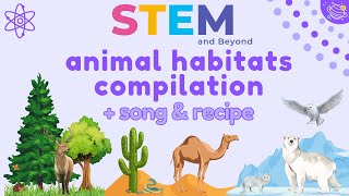 Animal Habitats Compilation | Science For Kids | STEM Home Learning