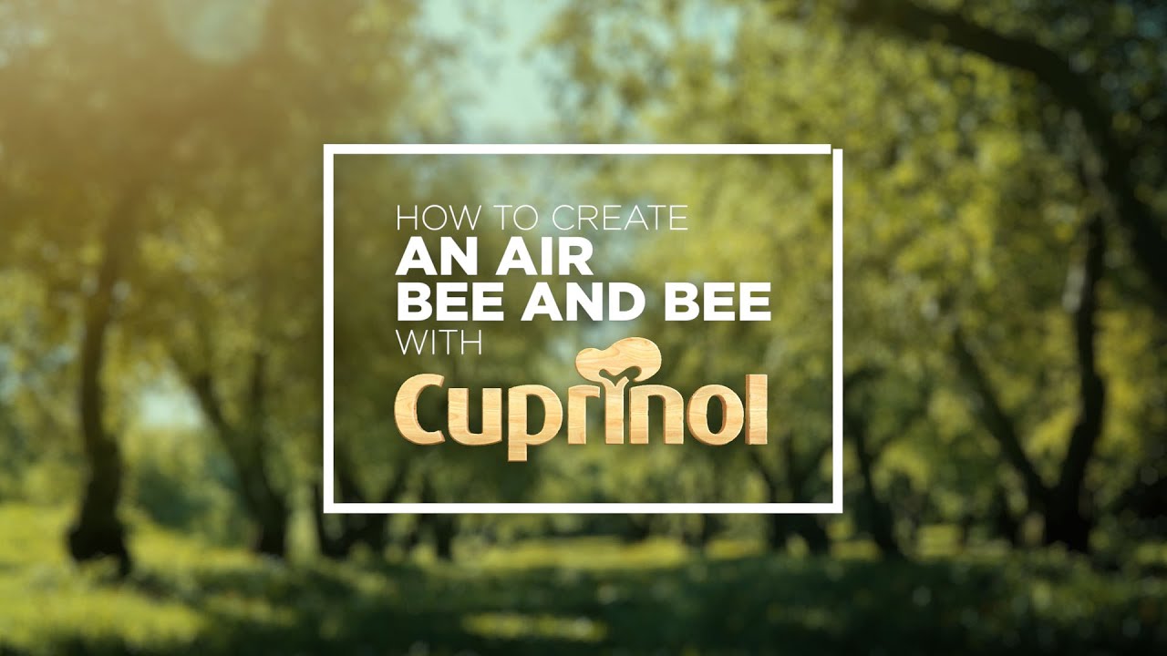 How To Create An Air Bee And Bee I Cuprinol UK - YouTube