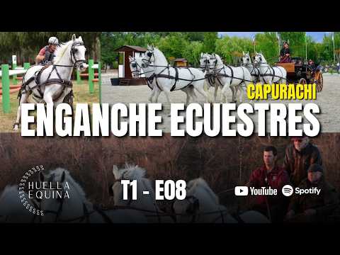 Huella Equina capítulo 8
