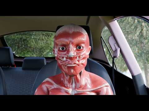 the government took my skin