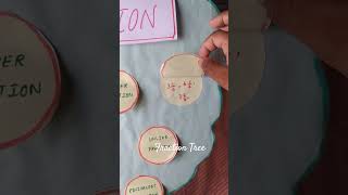 Fraction Tree Model 🌳 Fun Maths School Project Idea #schoolproject #maths #mathproject #diyprojects