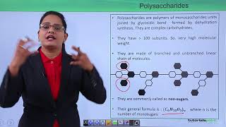 Biomolecules - Polysaccharides and their types