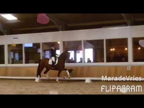 Farzana - Stal van der Sande bokaal