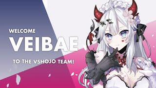 why does it look like when you get a new character in a rpg gacha game - Welcome Veibae to the Team