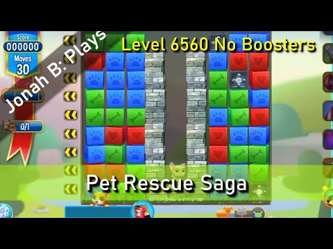 Pet Rescue Saga Level 6560 No Boosters