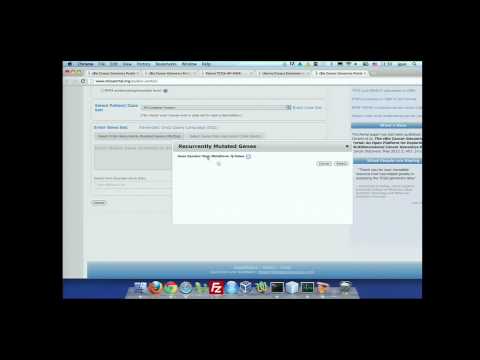 TCGA: Individual Patient Cancer Profiles in The Cancer Genome Atlas - Jianjiong Gao