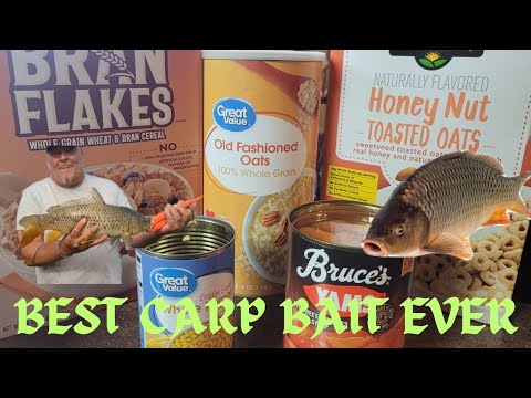#1 carp bait EVER  #youtubevideo #carpfishing  #goviral