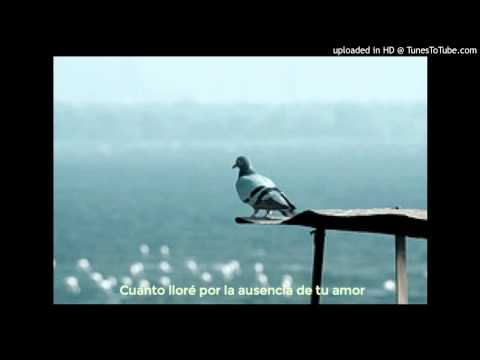 Today's Tango Is... La Torcacita - Carlos Di Sarli 21-06-1941