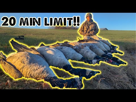 4 Man Goose Limit - INSANE 20 Minute LIMIT!!