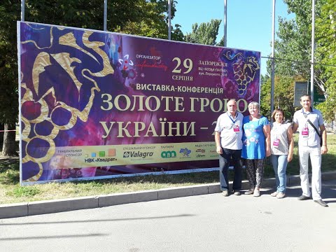 Выставка "Золотая гроздь Украины - 2020", г. Запорожье. 29.08.2020