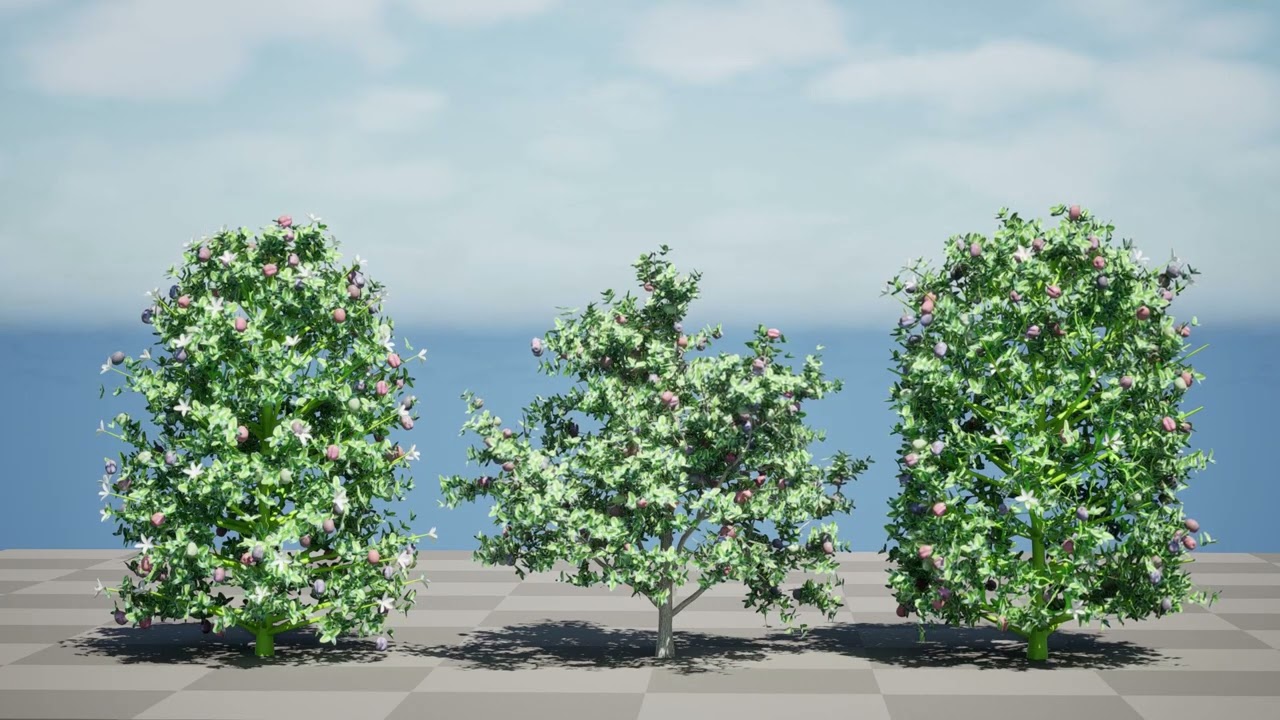 South African Natal Plum 3D Model