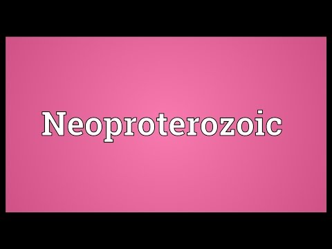 Neoproterozoic Meaning