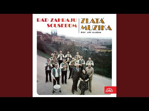 Vyhrávala kapela (Vltavanka)