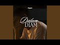 Dalam Diam Dalam Diam