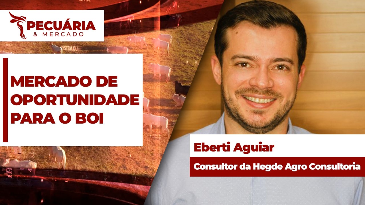 Mercado interno é firme e de oportunidades para que os pecuaristas defendam margens